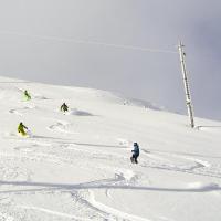 Vue sur les pistes