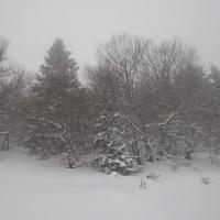 paysage